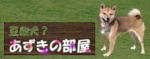 豆柴犬? あずきの部屋